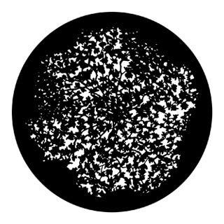 Rosco - 79117 - Aço Padrão Gobo - Foliage Breakups | Z-Bombilla