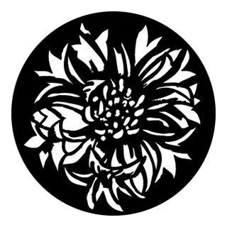 Rosco - 76572 - Aço Padrão Gobo - Árvores e Vegetação | Z-Bombilla