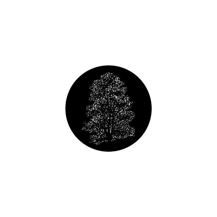 Rosco - 78037 - Standard Steel Gobo - Les Arbres et la Végétation | Z-Bombilla