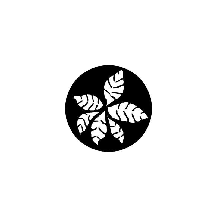 Rosco - 78427 - Standard Steel Gobo - Les Arbres et la Végétation | Z-Bombilla