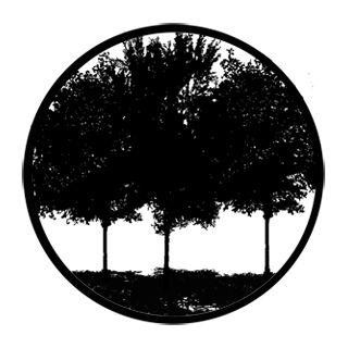 Rosco - 78431 - Aço Padrão Gobo - Árvores e Vegetação | Z-Bombilla