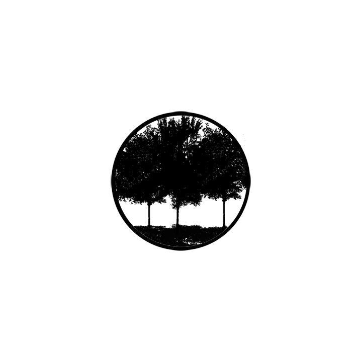 Rosco - 78431 - Aço Padrão Gobo - Árvores e Vegetação | Z-Bombilla