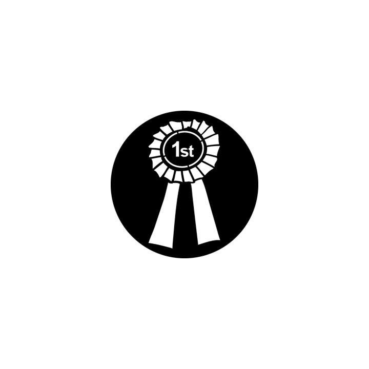 Rosco - 76551 - Standard Steel Gobo - Graphics | Z-Bombilla