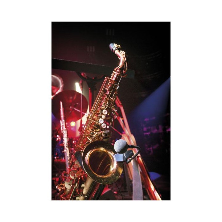 Dap Audio - ECLM-70 - Micròfon d'Instrument | Z-Bombilla