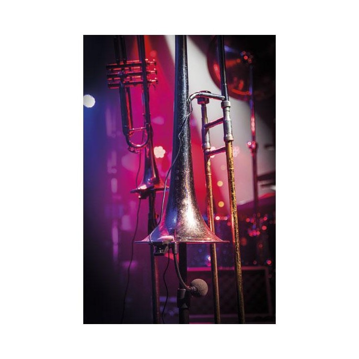 Dap Audio - ECLM-70 - Micròfon d'Instrument | Z-Bombilla