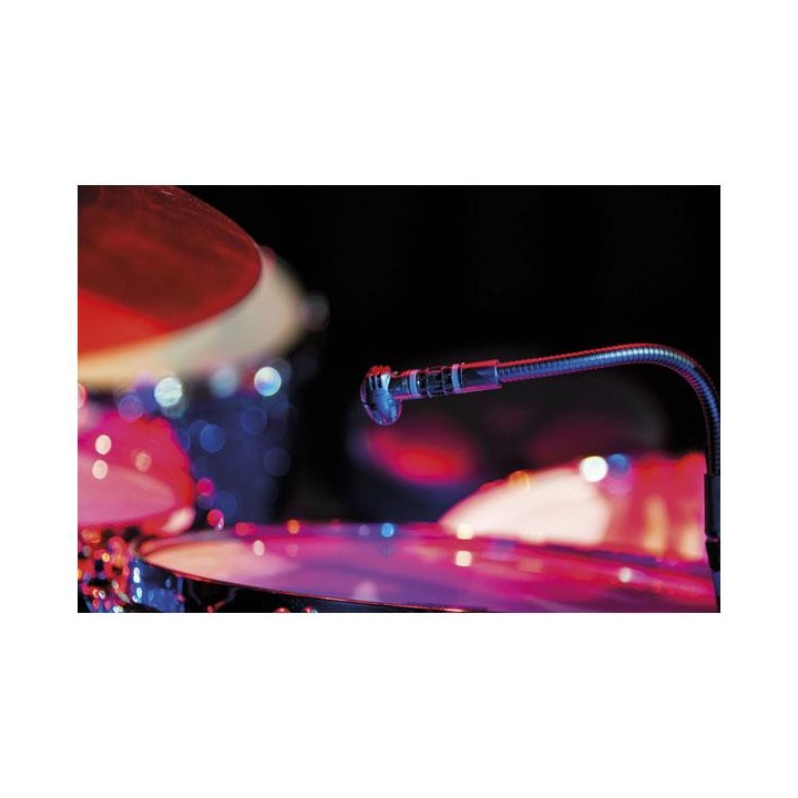 Dap Audio - ECLM-70 - Micròfon d'Instrument | Z-Bombilla