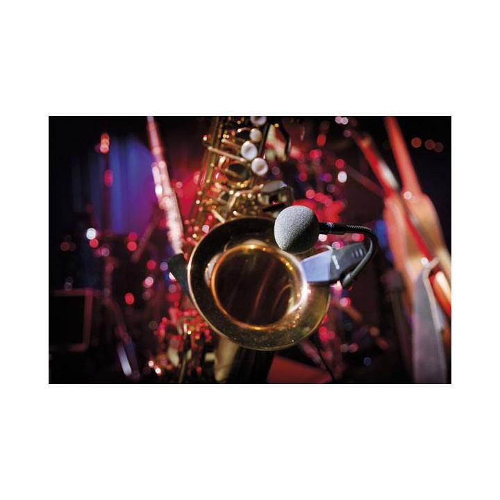 Dap Audio - ECLM-70 - Micròfon d'Instrument | Z-Bombilla