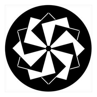 Rosco - 74008 - Aço Padrão Gobo - Rotação | Z-Bombilla