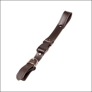 Ortola - Correas seguridad. - Accordéon | Z-Bombilla