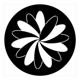 Rosco - 74052 - Aço Padrão Gobo - Rotação | Z-Bombilla