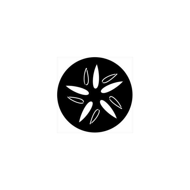 Rosco - 74061 - Aço Padrão Gobo - Rotação | Z-Bombilla