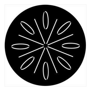 Rosco - 74062 - Aço Padrão Gobo - Rotação | Z-Bombilla