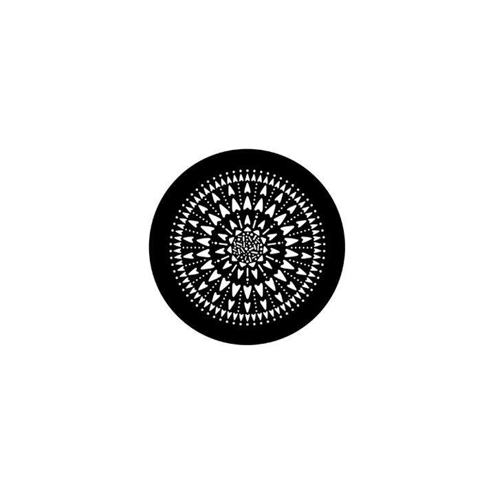 Rosco - 77231 - Standard Acciaio Gobo - Rotazione | Z-Bombilla