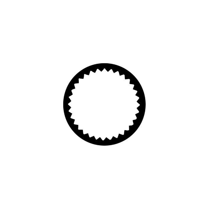 Rosco - 77255 - Standard Acciaio Gobo - Rotazione | Z-Bombilla