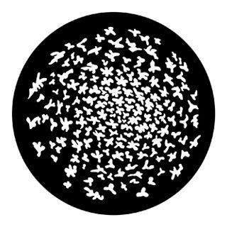 Rosco - 79200 - Aço Padrão Gobo - Rotação | Z-Bombilla