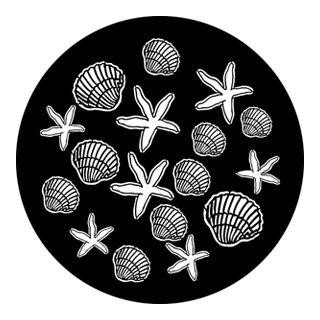 Rosco - 76607 - Gobus d'Acer Estàndard - El món que ens envolta | Z-Bombilla