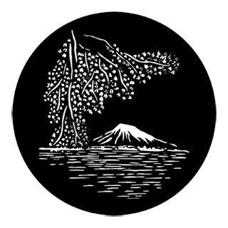 Rosco - 77946 - Gobus d'Acer Estàndard - El món que ens envolta | Z-Bombilla