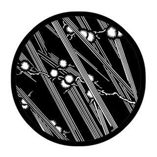 Rosco - 78534 - Aço Padrão Gobo - O mundo à nossa volta | Z-Bombilla