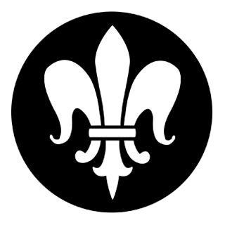 Rosco - 77159 - Aço Padrão Gobo - Igrejas e Heráldico | Z-Bombilla