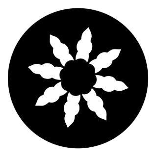 Rosco - 77538 - Aço Padrão Gobo - Igrejas e Heráldico | Z-Bombilla