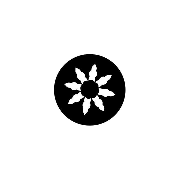 Rosco - 77538 - Aço Padrão Gobo - Igrejas e Heráldico | Z-Bombilla