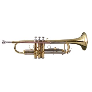 Sound Sation - TROMBA SOUNDSATION STPGD-10 GOLD - Trombeta | Z-Bombilla
