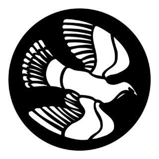 Rosco - 78092 - Aço Padrão Gobo - Fences and Wildlife | Z-Bombilla