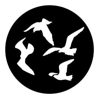 Rosco - 78096 - Aço Padrão Gobo - Fences and Wildlife | Z-Bombilla