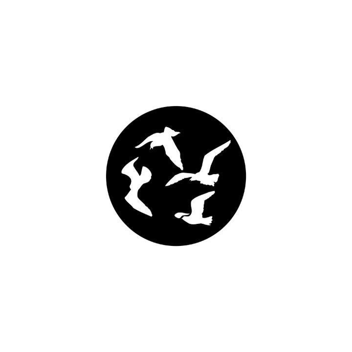 Rosco - 78096 - Standard Acciaio Gobo - Recinzioni e Fauna | Z-Bombilla