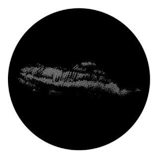 Rosco - 77828 - Aço Padrão Gobo - Nuvens e Sky | Z-Bombilla