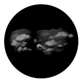 Rosco - 77831 - Aço Padrão Gobo - Nuvens e Sky | Z-Bombilla