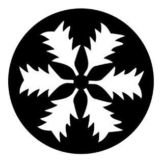 Rosco - 77152 - Aço Padrão Gobo - Fire and Ice | Z-Bombilla