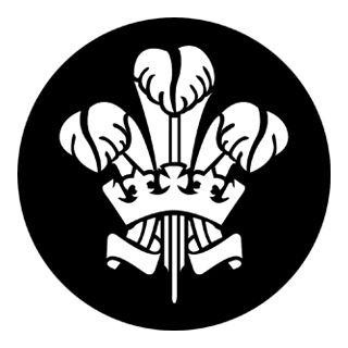 Rosco - 77670 - Aço Padrão Gobo - Architectural e Comércio | Z-Bombilla