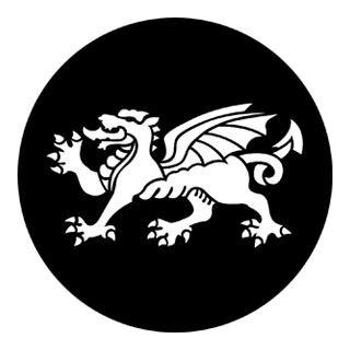 Rosco - 77671 - Aço Padrão Gobo - Architectural e Comércio | Z-Bombilla