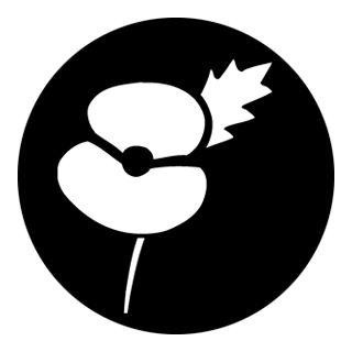 Rosco - 76526 - Aço Padrão Gobo - Celebrações | Z-Bombilla