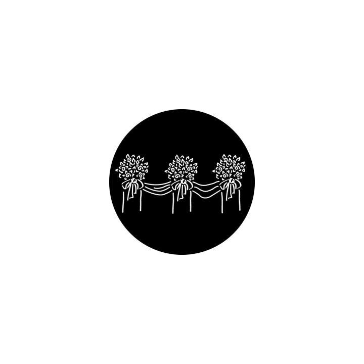 Rosco - 76529 - Aço Padrão Gobo - Celebrações | Z-Bombilla