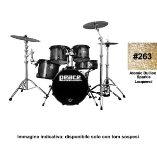 Peace - BATTERIA PEACE DP-22DNA2-5 #263  - Acoustic Drum Set | Z-Bombilla