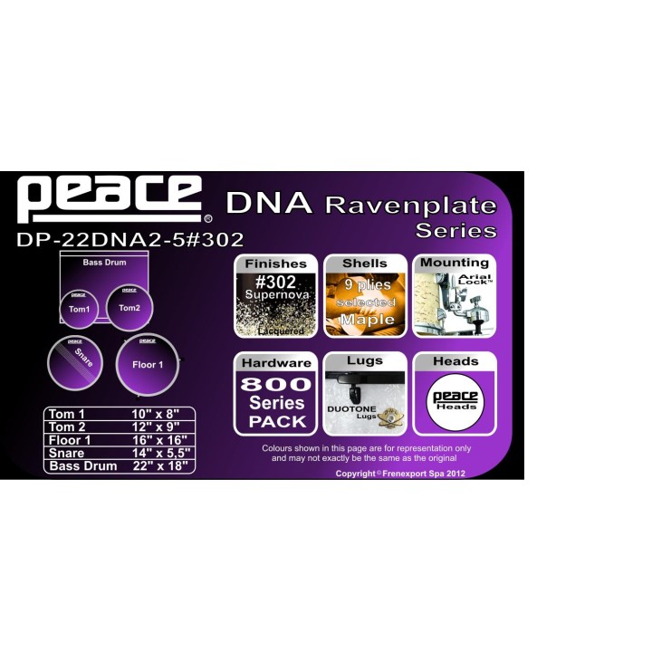Peace - BATTERIA PEACE DP-22DNA2-5 #302  - Acoustic Drum Set | Z-Bombilla