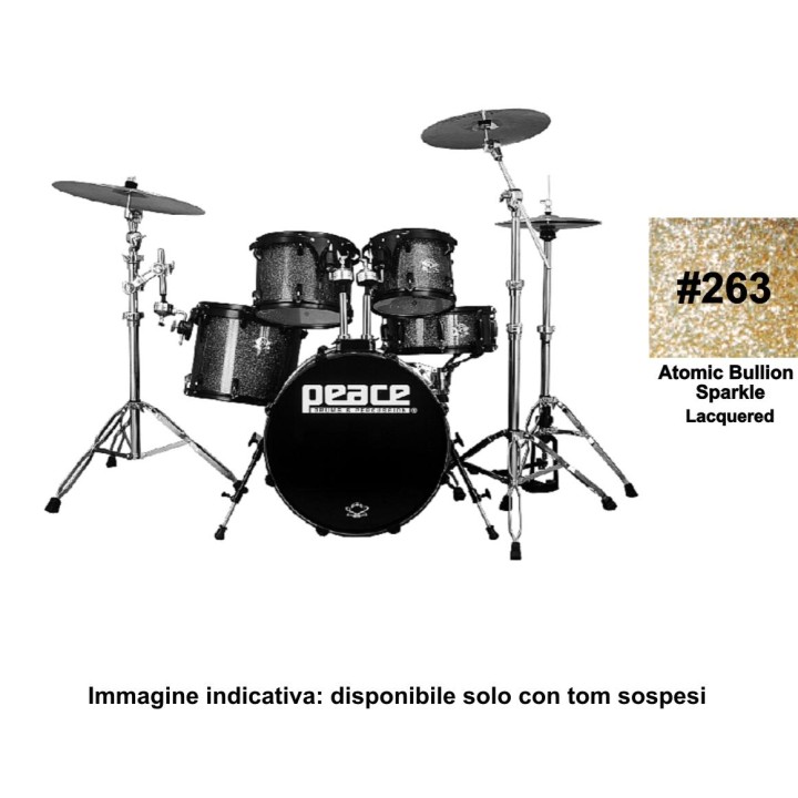 Peace - BATTERIA PEACE DP-22DNA2-5 #263  - Acoustic Drum Set | Z-Bombilla