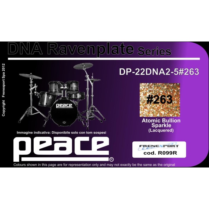 Peace - BATTERIA PEACE DP-22DNA2-5 #263  - Acoustic Drum Set | Z-Bombilla