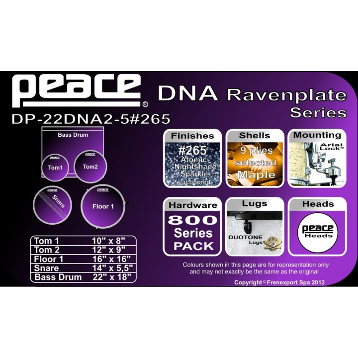 Peace - BATTERIA PEACE DP-22DNA2-5 #265  - Acoustic Drum Set | Z-Bombilla