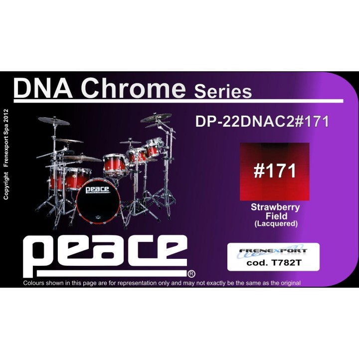 Peace - BATTERIA PEACE DNA2 DP-22DNAC2-5 - Bateria Acústica | Z-Bombilla