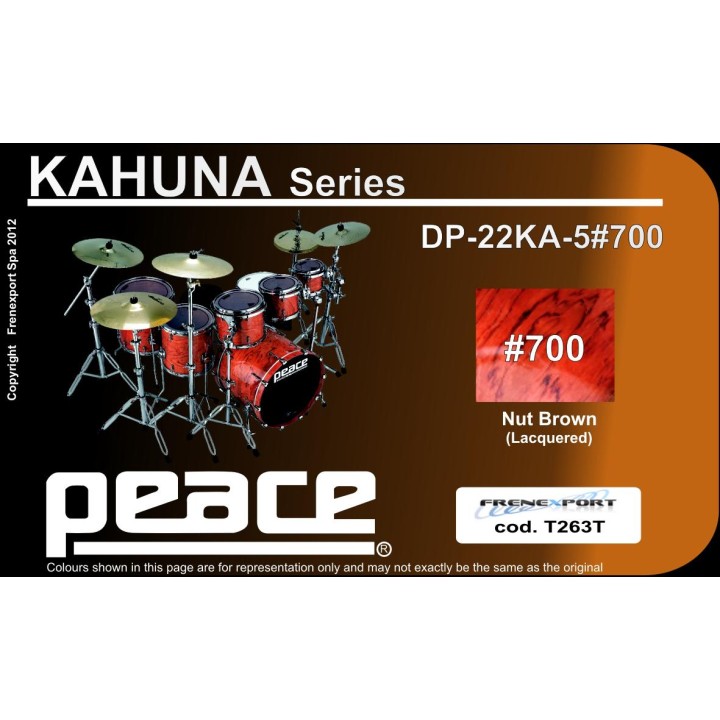 Peace - BATTERIA PEACE DP-22KA-5 #700 NU - Bateria Acústica | Z-Bombilla