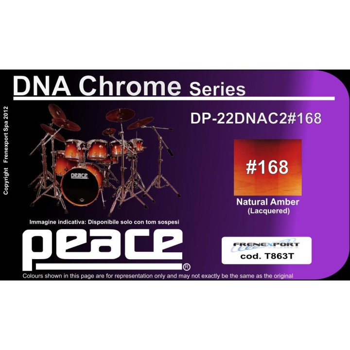 Peace - BATTERIA PEACE DP-22DNAC2-5 #168 - Bateria Acústica | Z-Bombilla
