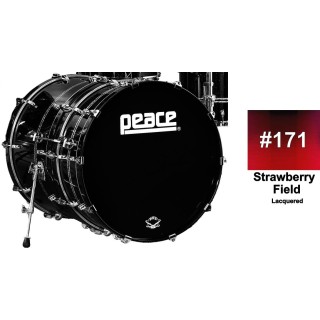 Peace - SUBWOOFER PEACE SERIE DNA DP-DNA - Bombas de bateria | Z-Bombilla