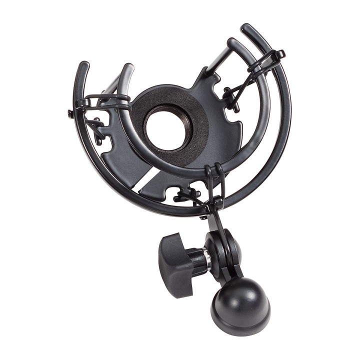 Sound Sation - MICROFONO DA STUDIO A CONDENSATO - Micròfon d'Instrument | Z-Bombilla