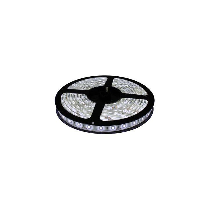 Z-B - 12V 24W IP66 White Cool - Tira de Leds de 12V Blanc | Z-Bombilla