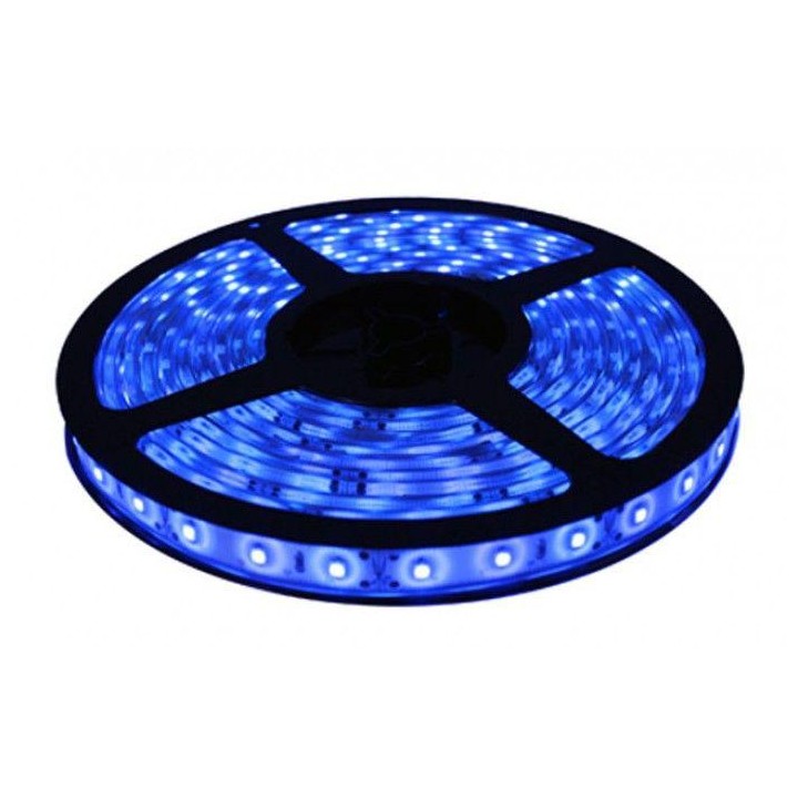 Z-B - 12V 36W IP66 Blue - 12V LED Strip Azul | Z-Bombilla