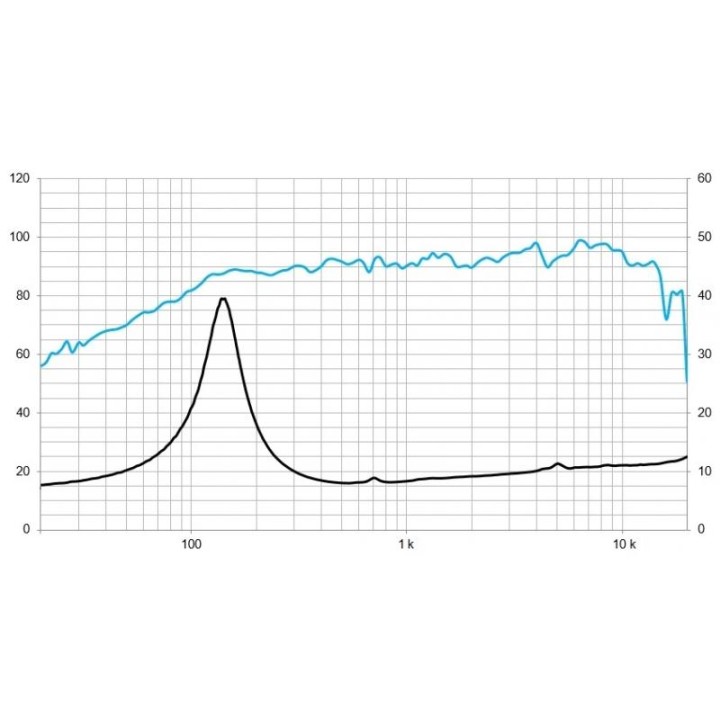 Beyma - 5M5G4NDN8 - Cone / Speaker 18" or more | Z-Bombilla