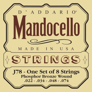 D'addario - J78 MANDOCELLO [22-74] - Other Instruments | Z-Bombilla